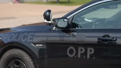Beeton Man Dies in Collision with Tree Near Shawanaga First Nation