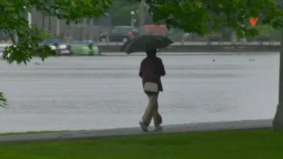 Blustery Rainy Thursday in Ottawa: News Roundup