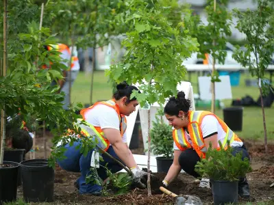 Calgary to Plant 1,400 Trees in Parks to Expand Urban Canopy by 6% by 2060