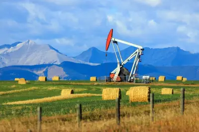 Canadian Oil Stocks: Solid Returns and Juicy Dividends for Investors