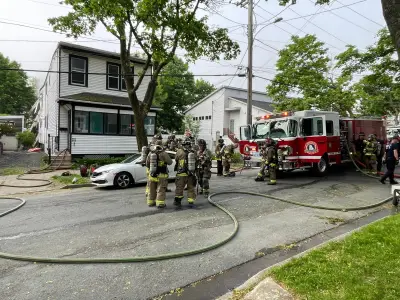 Cat Rescued from Halifax House Fire, No Injuries Reported