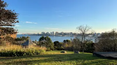 Dartmouth Commons Cricket Proposal Sparks Community Backlash in Nova Scotia