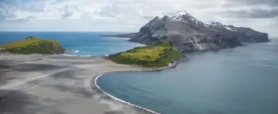 Deadly Bird Flu Decimates Seal Pups on Sub-Antarctic Islands