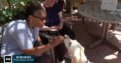 Dogs help aphasia patients improve speech: 'Best thing ever'