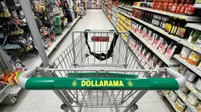 Dollarama not liable for $3,400 vet bill after birdseed sickens dog