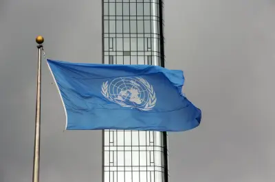 Ecuadorean UN Candidate Calls for Responsible Shrinkage of Body