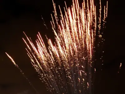 Edmonton fireworks rules fuel problems, business owner tells councillors