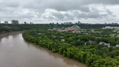 Edmonton to See Spike in Mosquitoes After Heavy Rainfall