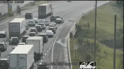 Family of Geese Causes Rush-Hour Delays on Highway 401 in North York