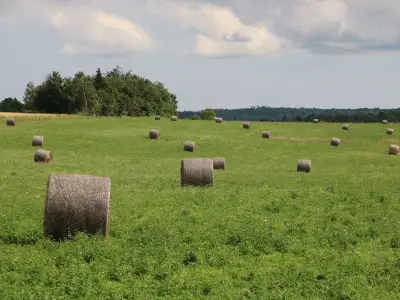 Farmland Giant Monette to Sell 274,000 Acres to Slash $1 Billion Debt