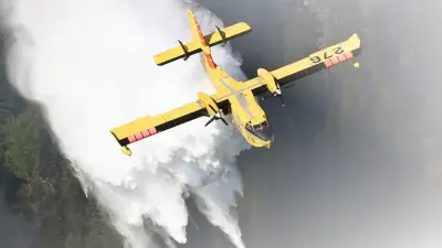 Five New Forest Fires in Northeast Ontario: 21 Active Blazes