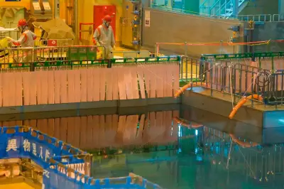 Flaws in Japan's Radioactive Waste Plans Exposed by Nuclear Plant Reboot