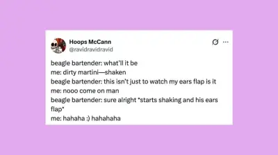 Funniest Pet Posts of the Week: Cats, Dogs, and More Goofballs