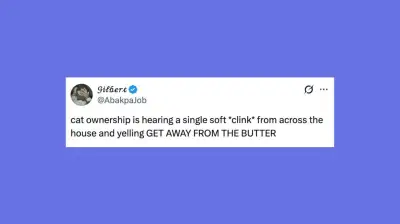 Funny Pet Posts to Make You Howl with Laughter This Week