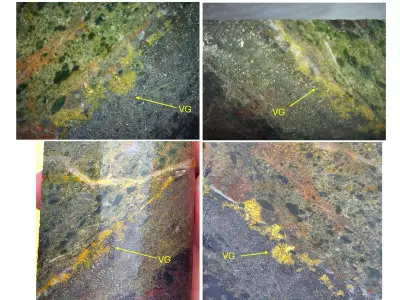 Globex Reports High-Grade Gold at Duquesne West Property