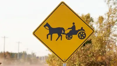 Impaired E-Biker Charged After Colliding with Horse and Buggy Near North Bay
