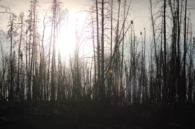 Lightning Sparks Multiple New Wildfires in Saskatchewan's North and West