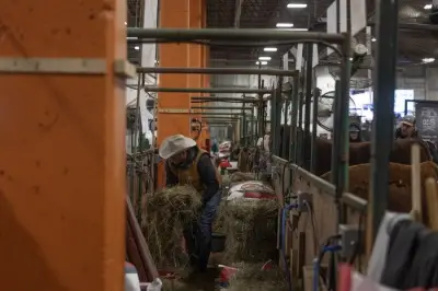 Livestock Groups Fear Agribition Future After REAL District Eviction