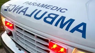 Man in Life-Threatening Condition After North York Tree Crash
