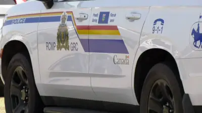 Manslaughter Charge Filed in Death of Woman Hit by Pickup Near Edmonton