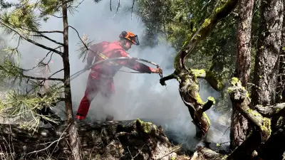 Massive Wildfire Burns Out of Control in B.C. Interior
