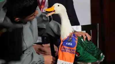 Merlín the Duck Denied Entry to Mexico World Cup Match