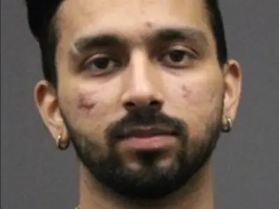 Mississauga man faces deportation after guilty plea in Elnaz Hajtamiri attack