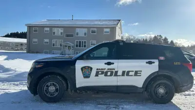 N.B. Murder Trial: Both Boys Died from Multiple Stab Wounds, Medical Examiner Says