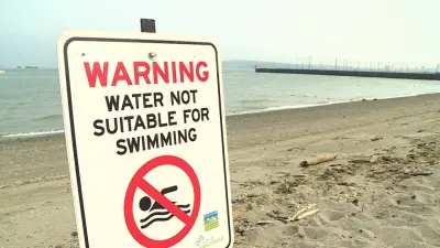 No Swimming at Several Vancouver Beaches Due to E. coli Contamination