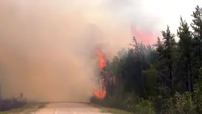 Northern Sask. Emergency Co-ordinator Says Wildfire Grant Insufficient