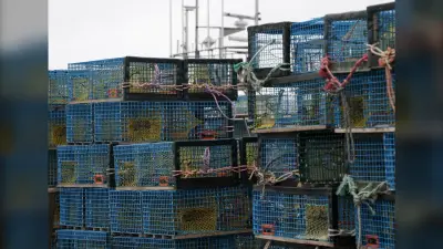 N.S. Program Teaches Students About Seafood Industry
