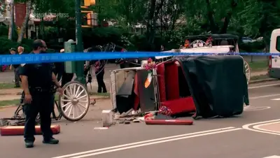 NYC Mayor Pushes to End Horse Carriage Industry After Indian Teen's Death