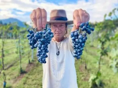 Ottawa-born Blaise Plant builds new life and winery in Japan