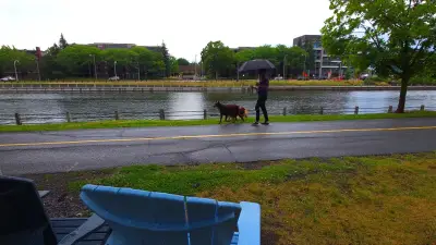 Ottawa Braces for Rainy Weekend with Thunderstorm Risks