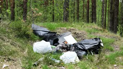 Over 6,600 kg of Garbage Dumped in County Forest Last Year