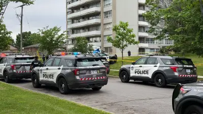Pedestrian killed in North York brawl; vehicle strikes victim