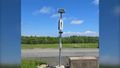 Pedestrian warning system vandalized in Pictou County, N.S., $10K damage