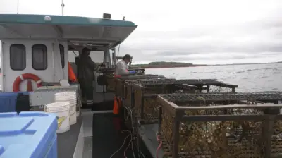P.E.I. Lobster Fishers Struggle with Difficult Conditions