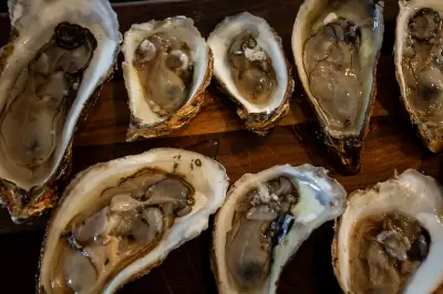 P.E.I. Oysters Recalled Over Possible Salmonella Contamination