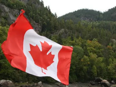 Quebec town grants trees legal rights as sentient beings