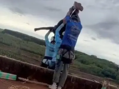 Rope-Jumper Dies After Being Thrown Off Bridge Without Safety Cord in Brazil
