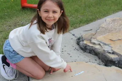 Seven-Year-Old Girl Discovers Ancient Fossil at Calgary Playground