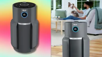 Shark Air Purifier With 5-Year Filter on Sale Up to 38% Off