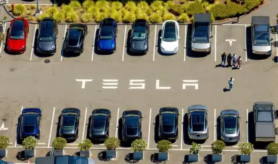 Tesla Crash in Texas Kills 76-Year-Old After Slamming into Home