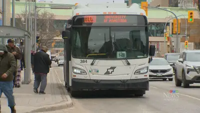 Thousands Avoiding Fare Payments for Winnipeg Transit: New Data