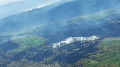 Timmins 9 Forest Fire Growth Slows, Now at 3,399 Hectares