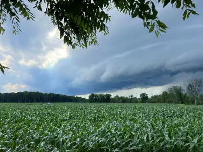 Tornado Warning Lifted, Severe Thunderstorm Watch for Southern Ontario