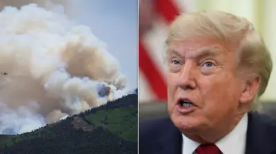 Trump's New Fire Service Under Scrutiny After 3 Firefighters Die in Colorado