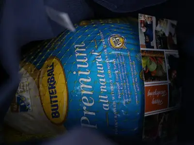Turkeys and Turtle Shells Among Strangest Items Left in Toronto Ubers