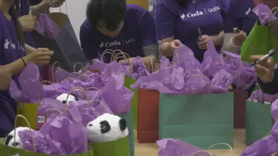 U of A Team Packs Early Holiday Gifts for Pediatric Cancer Patients